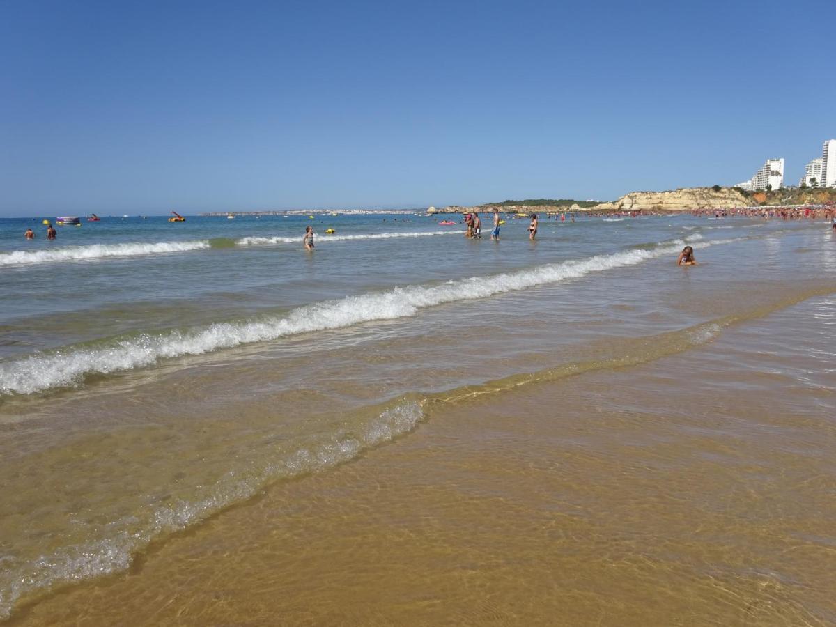 Apartamento T1 Com Piscina E Vista Mar - Praia Da Rocha بورتيماو المظهر الخارجي الصورة